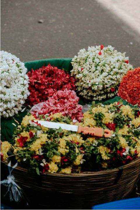 Netrolis floral installation