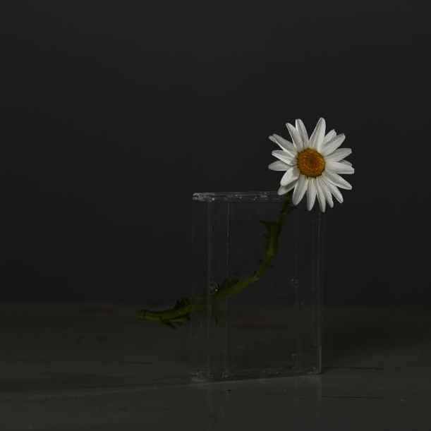 Green and white floral installation