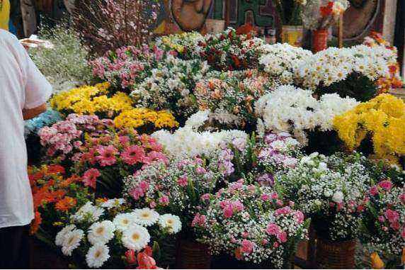 Flower bar at dusk